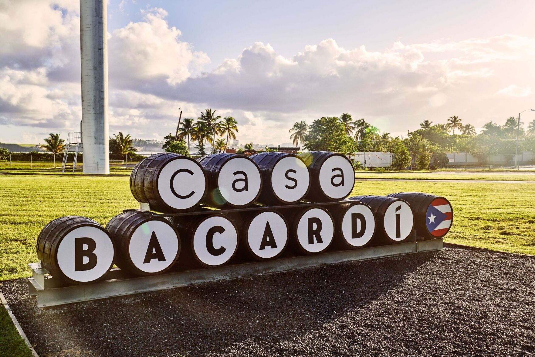 bacardi